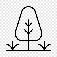 Baum, Laub, Blatt, Zweig symbol