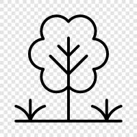 Arbor, Foliage, Branch, Leaf icon svg