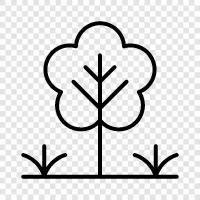 Baum, Laub, Blatt, Schießen symbol