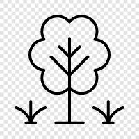 Arbor, Foliage, Branch, Twig icon svg