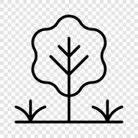 arbor, bough, branch, leaf ikon svg