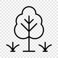 Arbor, Foliage, Bush, Plant icon svg