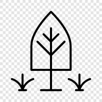 Arbor, Laub, Blüte, Blütezeit symbol