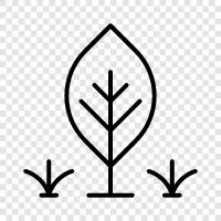 arbor, bough, branch, foliage icon svg