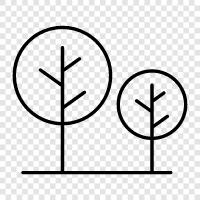 Baum, Laub, Blatt, Knospen symbol