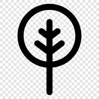 Baum, Laub, Blatt, Zweig symbol