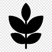 Arbor, Foliage, Leaves, Flowers icon svg