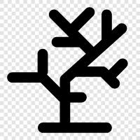 Arbor, Fruiting, Sap, Branches icon svg