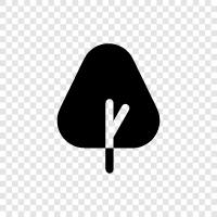 Arbor, Foliage, Leaf, Branch icon svg