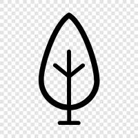 Arbor, Foliage, Branch, Twig icon svg