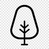 Arbor, Foliage, Leaf, Growth icon svg