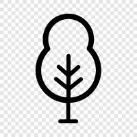 Arbor, Vegetation, Plant, Fruits icon svg