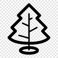 Baum symbol