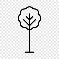 Arboreal, Pflanze, Blätter, Blatt symbol