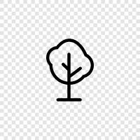 arboral, лазание, рост, листья Значок svg