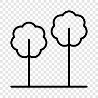 Arboriculture, Forestry, tree, forest icon svg