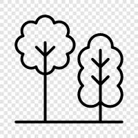 Arboriculture, Forestry, Fruits, Nutrients icon svg