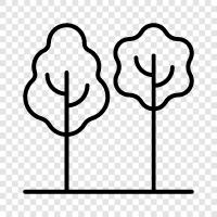 Arboriculture, Plant, Foliage, Leaf icon svg