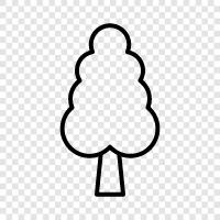 Arborist, tree care, tree removal, tree planting icon svg