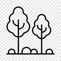 Arborist, trees in the city, tree care, tree surgery icon svg