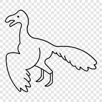 Archaeopteryx, ilk kuş, ilkel kuş ikon svg