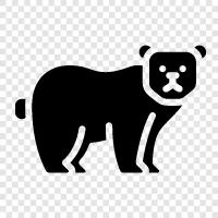 arctic, animal, wildlife, conservation icon svg