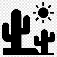 arid, sun, sand, hot icon svg