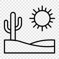 arid, sun, sand, gravel icon svg