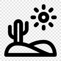 arid, sandy, scorching, sun icon svg