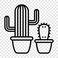 Arizona, cacti, succulents, plants icon svg