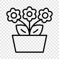 düzenleme, buket, bahçe, bahçe çiçekleri ikon svg