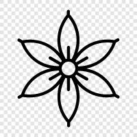 düzenleme, buket, çiçek, çiçek tasarımı ikon svg