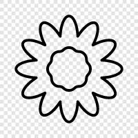 arrangement, bouquet, flora, gardening icon svg