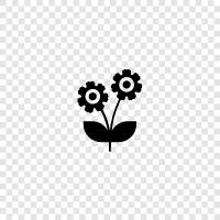 arrangement, bouquet, florist, floral icon svg