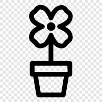 Arrangement, Blumentopf, Topf, Behälter symbol