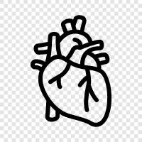 arteries, heart attack, heart disease, heart failure icon svg