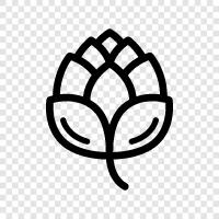 artichokes, edible, vegetable, chokes icon svg