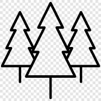 artificial christmas trees, prelit christmas trees, tree stands, artificial icon svg
