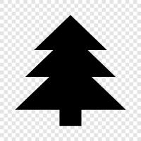 artificial tree, prelit artificial tree, real tree, Douglas Fir icon svg