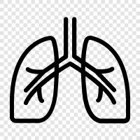 asthma, COPD, lung cancer, pneumonectomy icon svg