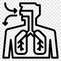 asthma, COPD, tuberculosis, pneumonia icon svg