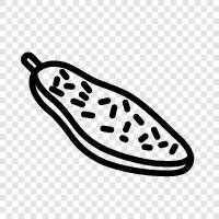 aubergine, vegetarian, healthy, flavorful icon svg