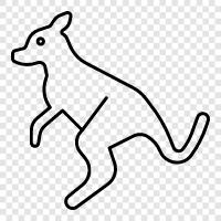 Aussie, Australian, animal, marsupial icon svg