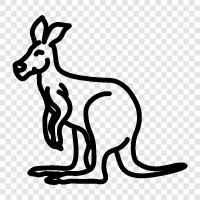 Australian, marsupial, mammal, animal icon svg