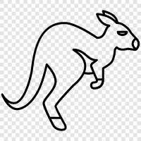 Australian, marsupial, animal, hopping icon svg