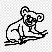 Australian, animal, cuddly, cute icon svg