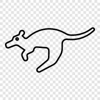 Australian, marsupial, jumping, wallaby icon svg