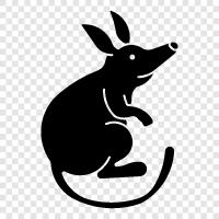 Australian marsupial, red kangaroo, wallaby, bilby icon svg