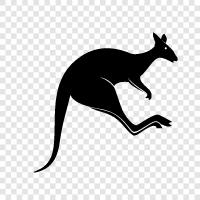 Australisch, Wildtiere, Nationalpark, Abenteuer symbol