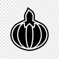 Autumn, Thanksgiving, harvest, gourd icon svg